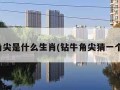 钻牛角尖是什么生肖(钻牛角尖猜一个数字)