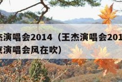 王杰演唱会2014（王杰演唱会2015年北京演唱会风在吹）