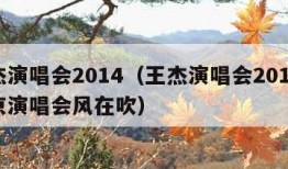 王杰演唱会2014（王杰演唱会2015年北京演唱会风在吹）