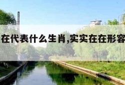 实实在在代表什么生肖,实实在在形容什么生肖动物