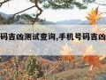 手机号码吉凶测试查询,手机号码吉凶测试大全