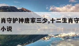 十二生肖守护神唐家三少,十二生肖守护神唐家三少小说