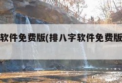 排八字软件免费版(排八字软件免费版流日流时)