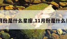 10月份是什么星座,11月份是什么星座