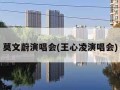 莫文蔚演唱会(王心凌演唱会)