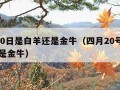 4月20日是白羊还是金牛（四月20号是白羊还是金牛）