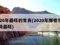 2020年最旺的生肖(2020年哪些生肖运势最旺)