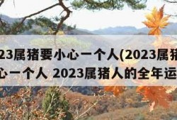 2023属猪要小心一个人(2023属猪要小心一个人 2023属猪人的全年运势)