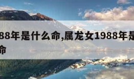 1988年是什么命,属龙女1988年是什么命