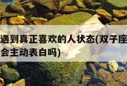 双子座遇到真正喜欢的人状态(双子座遇到喜欢的人会主动表白吗)