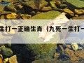 九死一生打一正确生肖（九死一生打一个生肖）