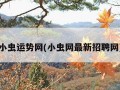 小虫运势网(小虫网最新招聘网)