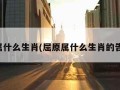 屈原属什么生肖(屈原属什么生肖的告诉我)