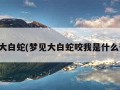 梦见大白蛇(梦见大白蛇咬我是什么预兆)