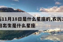 农历11月18日是什么星座的,农历11月18日出生是什么星座