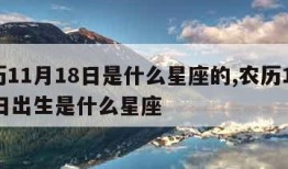 农历11月18日是什么星座的,农历11月18日出生是什么星座