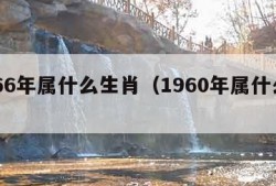 1966年属什么生肖（1960年属什么生肖）