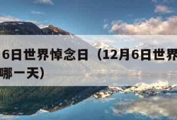 12月6日世界悼念日（12月6日世界悼念日是哪一天）