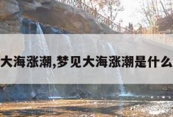 梦见大海涨潮,梦见大海涨潮是什么意思