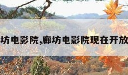 廊坊电影院,廊坊电影院现在开放吗