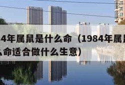 1984年属鼠是什么命（1984年属鼠是什么命适合做什么生意）