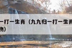 九九归一打一生肖（九九归一打一生肖精准是什么动物）