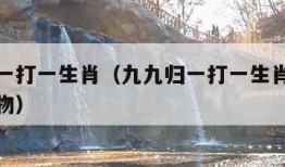 九九归一打一生肖（九九归一打一生肖精准是什么动物）