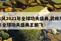 武林风2021年全球功夫盛典,武林风2021年全球功夫盛典王鹏飞