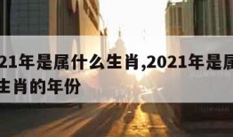 2021年是属什么生肖,2021年是属什么生肖的年份