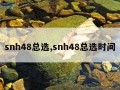 snh48总选,snh48总选时间