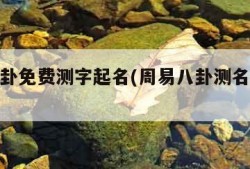 周易八卦免费测字起名(周易八卦测名字免费测试)