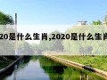 2020是什么生肖,2020是什么生肖的年