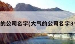 大气的公司名字(大气的公司名字3个字)