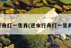 逆水行舟打一生肖(逆水行舟打一生肖正确)