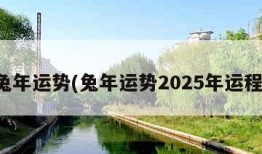 兔年运势(兔年运势2025年运程)