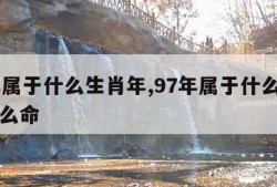 97年属于什么生肖年,97年属于什么生肖年什么命