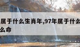 97年属于什么生肖年,97年属于什么生肖年什么命