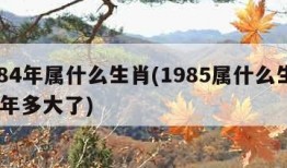 1984年属什么生肖(1985属什么生肖 今年多大了)