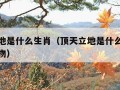 顶天立地是什么生肖（顶天立地是什么生肖打一肖动物）