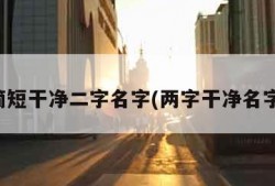 简短干净二字名字(两字干净名字)