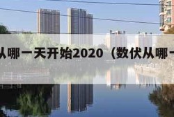 数伏从哪一天开始2020（数伏从哪一天开始）