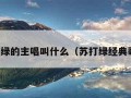 苏打绿的主唱叫什么（苏打绿经典歌曲）