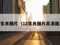 12生肖图片（12生肖图片高清图片）