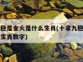 十拿九稳是金火是什么生肖(十拿九稳是金火是什么生肖数字)