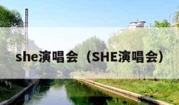 she演唱会（SHE演唱会）