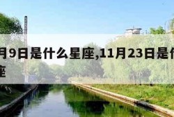 11月9日是什么星座,11月23日是什么星座