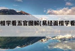 易经面相学看五官图解(易经面相学看五官视频)