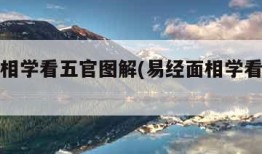 易经面相学看五官图解(易经面相学看五官视频)