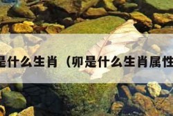 卯是什么生肖（卯是什么生肖属性的）