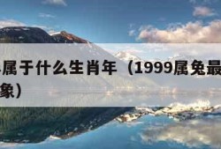 99年属于什么生肖年（1999属兔最佳结婚对象）